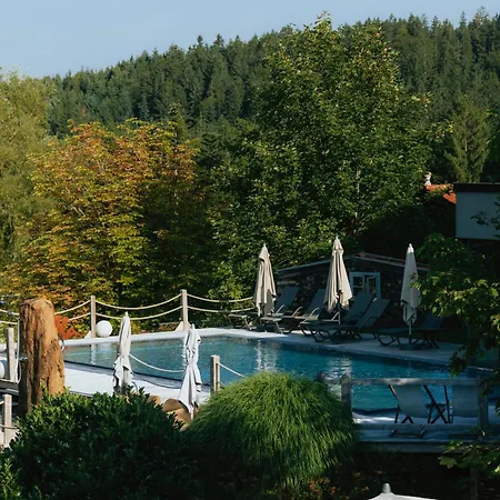 Wellnesshotel Riedlberg Drachselsried