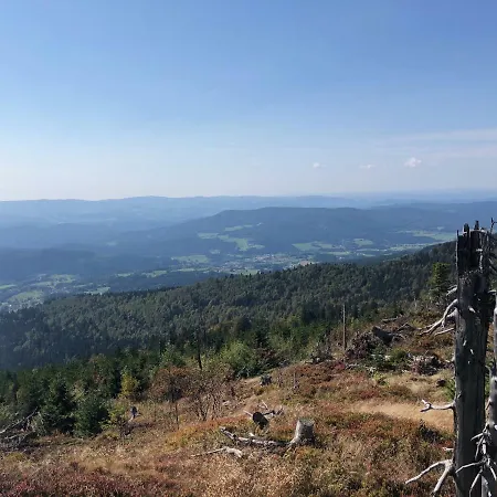 Wellnesshotel Riedlberg 4*