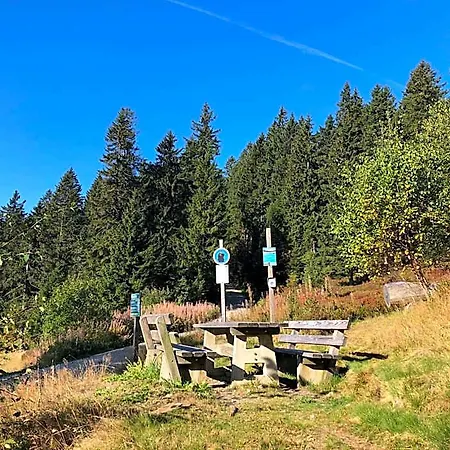 Hotel Wellnesshotel Riedlberg Drachselsried
