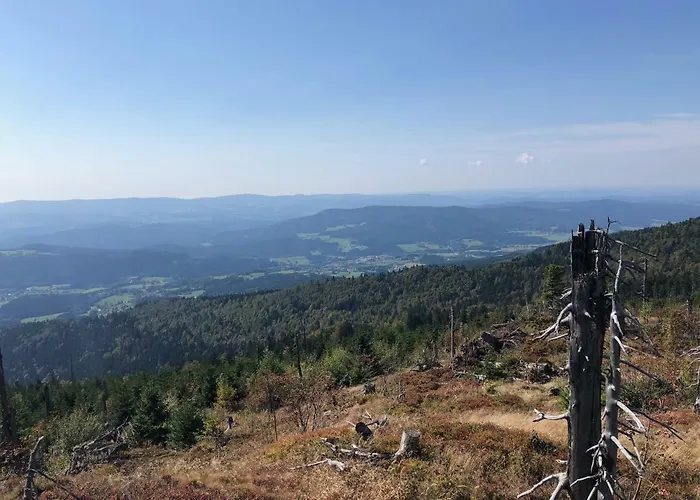 Wellnesshotel Riedlberg 4*